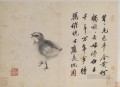 quail sketches from life old China ink
